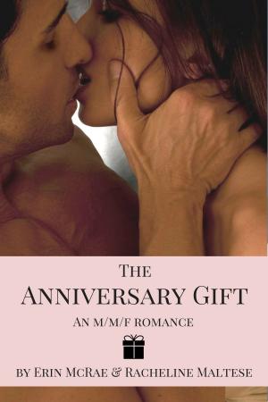 Cover of the book The Anniversary Gift by Racheline Maltese, Erin McRae