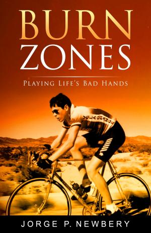 Cover of the book Burn Zones by Sally Salvati