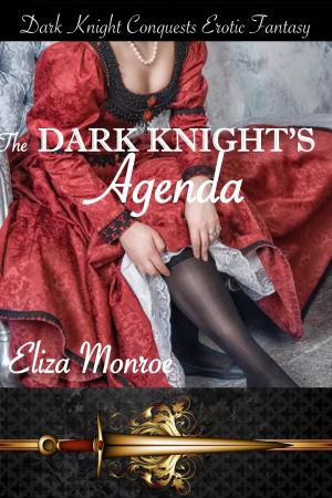 Book cover of The Dark Knight's Agenda
