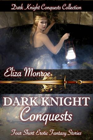 Book cover of Dark Knight Conquests