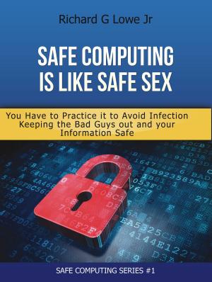 Book cover of Safe Computing is like Safe Sex