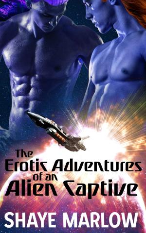 Cover of the book The Erotic Adventures of an Alien Captive by Elaine Barris