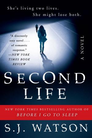 Cover of the book Second Life by Jacqueline Winspear