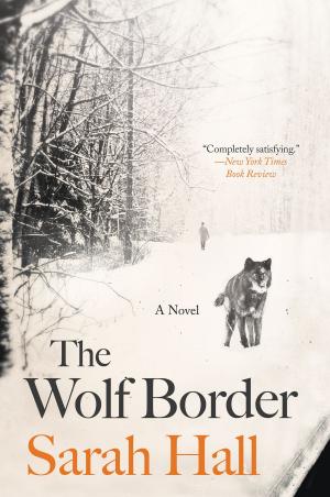 Cover of the book The Wolf Border by Anne de Courcy