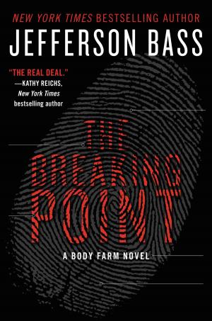 Cover of the book The Breaking Point by Hallie Ephron
