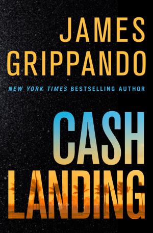 Cover of the book Cash Landing by Peter de Jonge