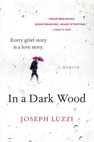 Cover of the book In a Dark Wood by Miranda Esmonde-White