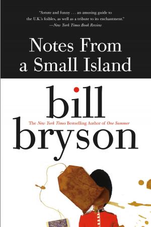 Cover of the book Notes from a Small Island by Elizabeth Peters
