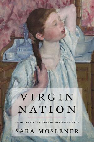 Cover of the book Virgin Nation by Lisa Kemmerer
