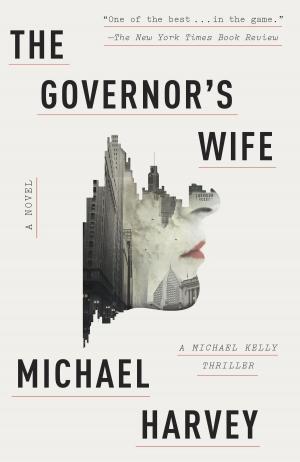 Cover of the book The Governor's Wife by Peter Carey
