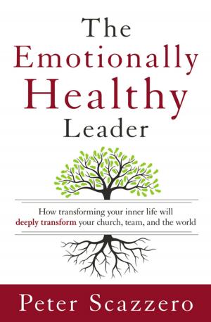 Cover of the book The Emotionally Healthy Leader by Danny Franks