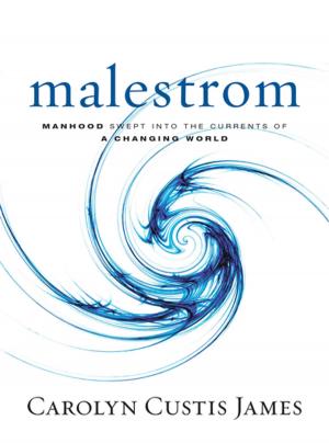 Cover of the book Malestrom by Carol Logan