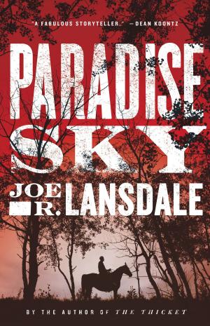 Cover of the book Paradise Sky by Adam Stark