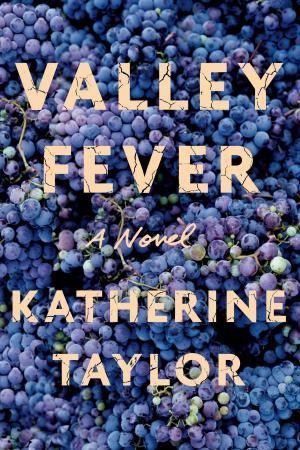 Cover of the book Valley Fever by Simon Winder
