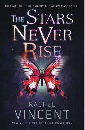 Cover of the book The Stars Never Rise by Jane Feldman