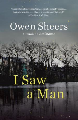 Book cover of I Saw a Man