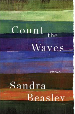 Cover of the book Count the Waves: Poems by Mohamed Abdel Aziz