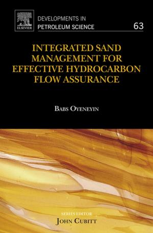 Cover of the book Integrated Sand Management For Effective Hydrocarbon Flow Assurance by Stefano Bottacchi, Francesca Bottacchi
