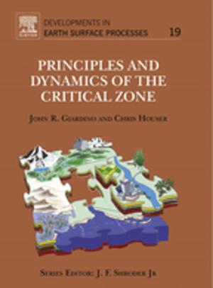 Book cover of Principles and Dynamics of the Critical Zone