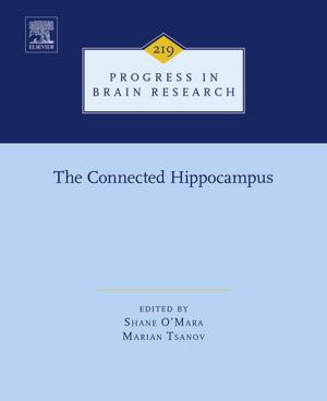 Book cover of The Connected Hippocampus