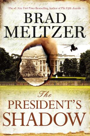 Book cover of The President's Shadow