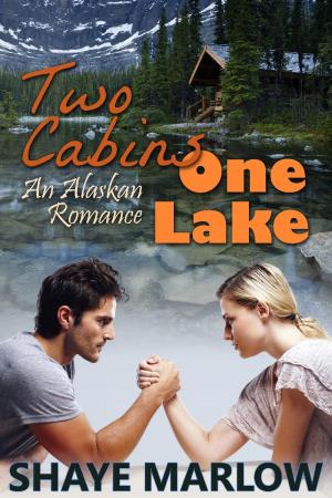 Cover of the book Two Cabins, One Lake: An Alaskan Romance by C. Coal