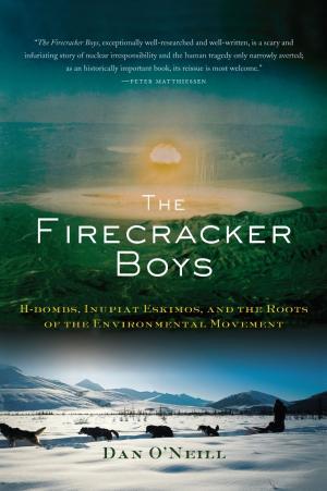 Cover of the book The Firecracker Boys by Laura Jacobs