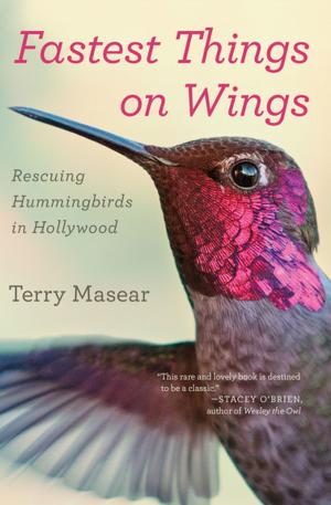 Cover of the book Fastest Things on Wings by Peter Murphy