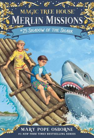 Cover of the book Shadow of the Shark by Debbie Bertram, Susan Bloom