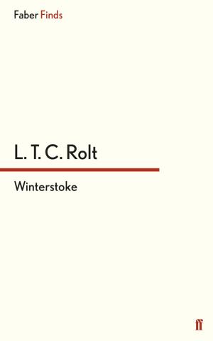 Cover of the book Winterstoke by Daniel Kehlmann