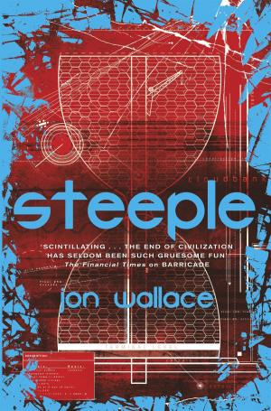 Cover of the book Steeple by E. R. Eddison