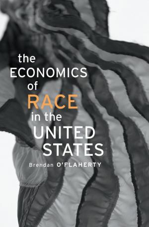 Book cover of The Economics of Race in the United States