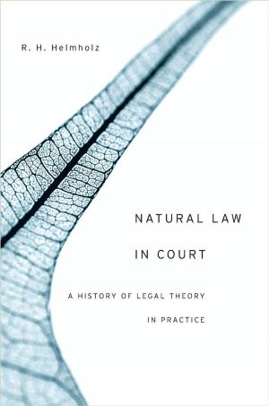 Cover of the book Natural Law in Court by Abner S. Greene
