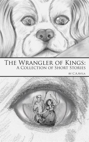 Cover of the book The Wrangler of Kings by Shady Grim
