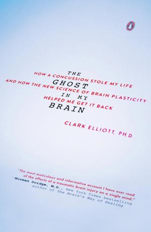 Cover of the book The Ghost in My Brain by Wesley Ellis