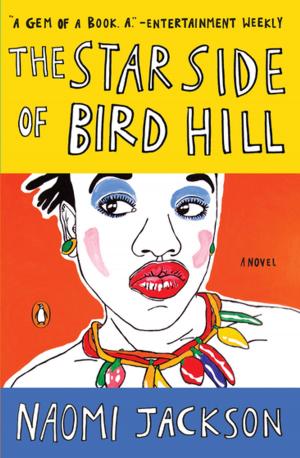 Cover of the book The Star Side of Bird Hill by Robert Nichols