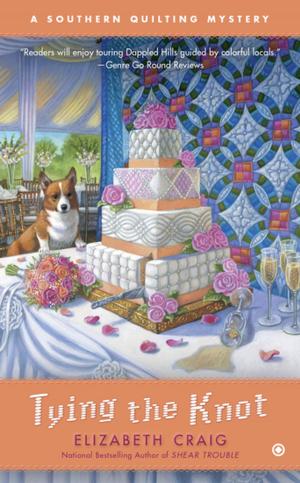 Cover of the book Tying the Knot by Patricia A. McKillip