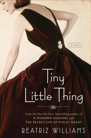 Cover of the book Tiny Little Thing by Micah Perks