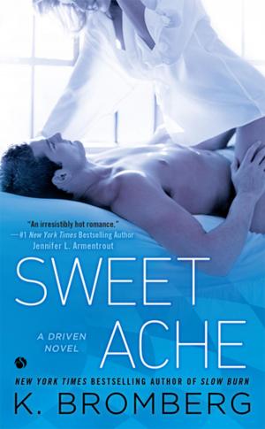 Cover of the book Sweet Ache by LuAnn McLane