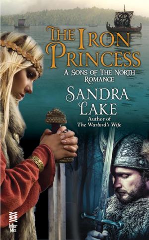 Cover of the book The Iron Princess by Jessica Clare