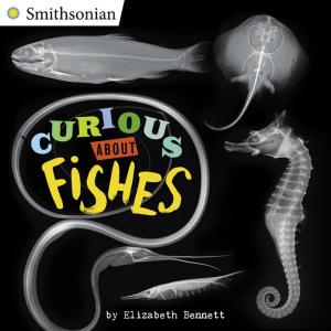 Cover of the book Curious About Fishes by Robin Benway