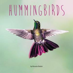 Cover of the book Hummingbirds by Betsy Byars