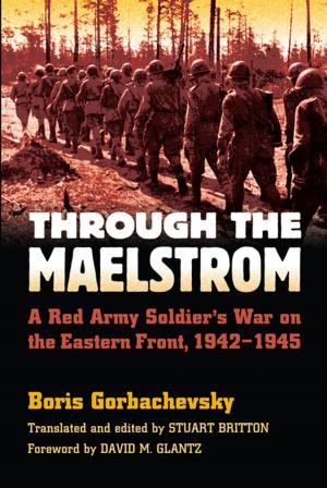 Cover of the book Through the Maelstrom by Aleksandr Sokolenko, Alex Lane