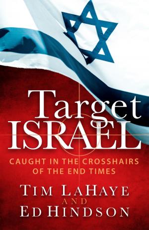 Cover of the book Target Israel by Georgia Varozza