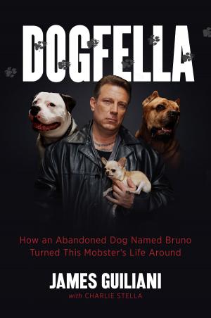 Cover of the book Dogfella by David Halberstam