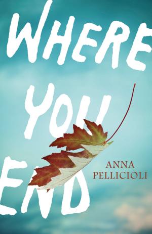 Cover of the book Where You End by Charlotte Bennardo, Natalie Zaman