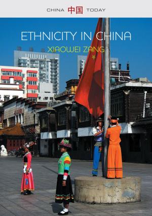 Cover of the book Ethnicity in China: A Critical Introduction by 