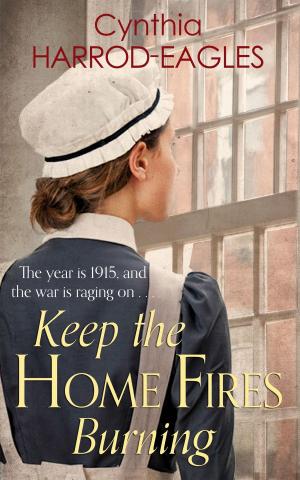 Book cover of Keep the Home Fires Burning