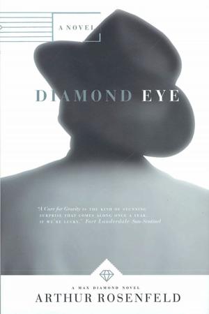 Cover of the book Diamond Eye by Elmer Kelton