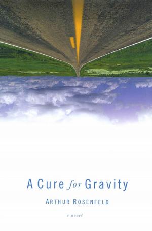 Cover of the book A Cure for Gravity by Morgan Llywelyn